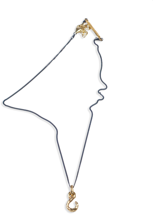 Fish Hook Necklace Gold - Necklace (1093x808), Png Download