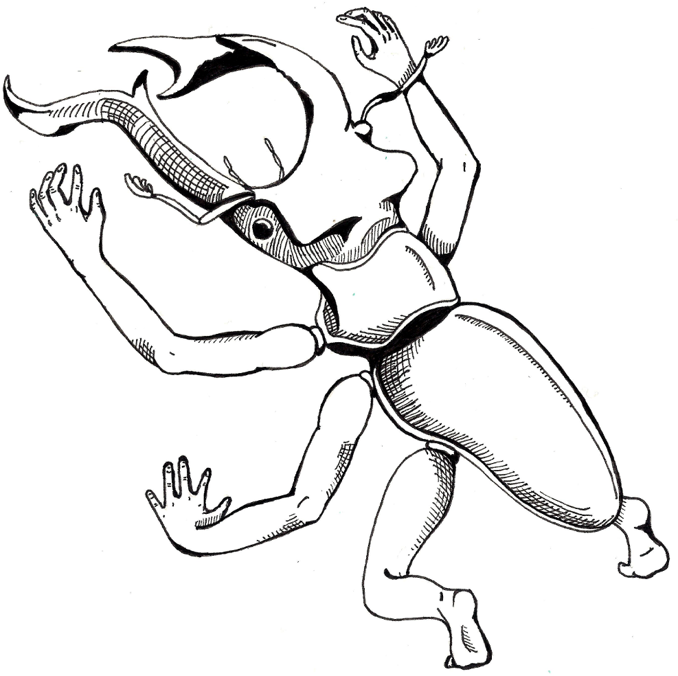 Beetle With Human Arms And Legs Black And White Fineliner - Line Art (1000x1000), Png Download