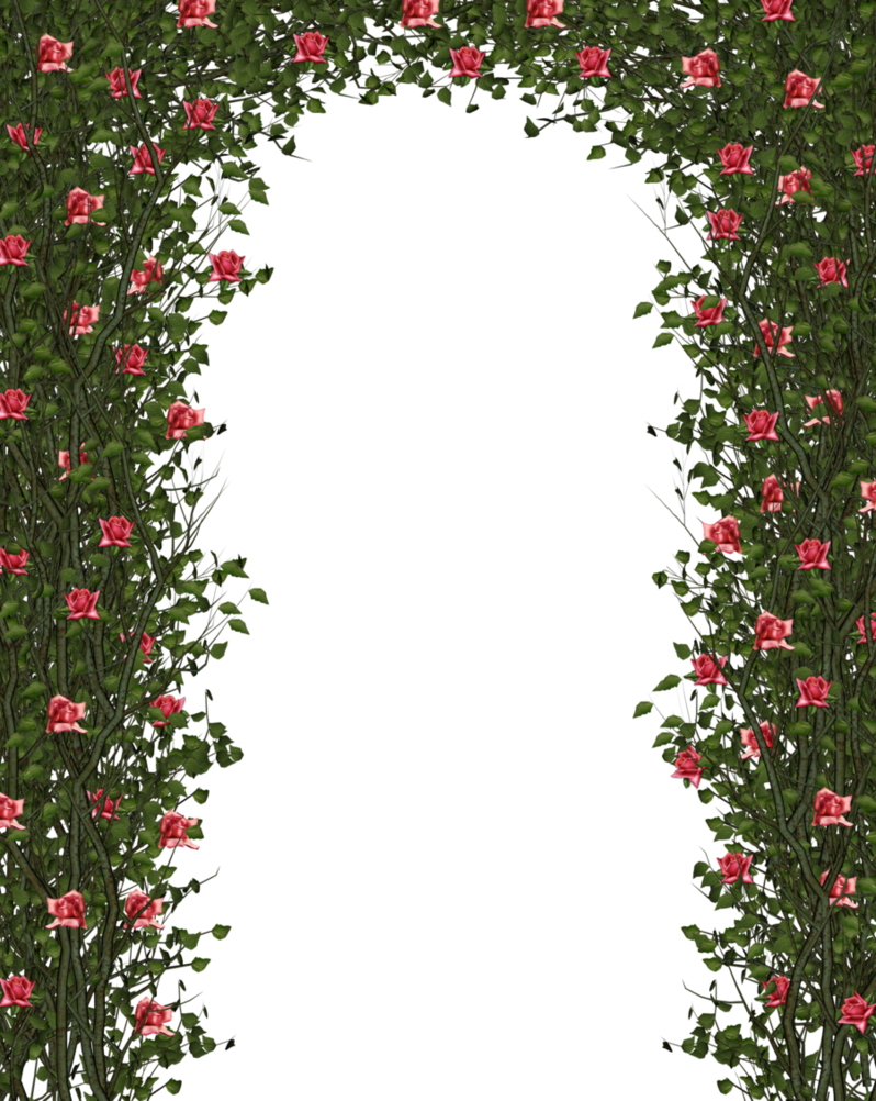 Garden Clipart Bush (798x1002), Png Download