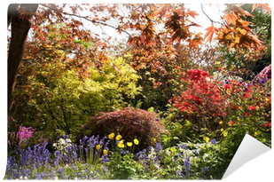 A Riot Of Color - Photograph (400x400), Png Download