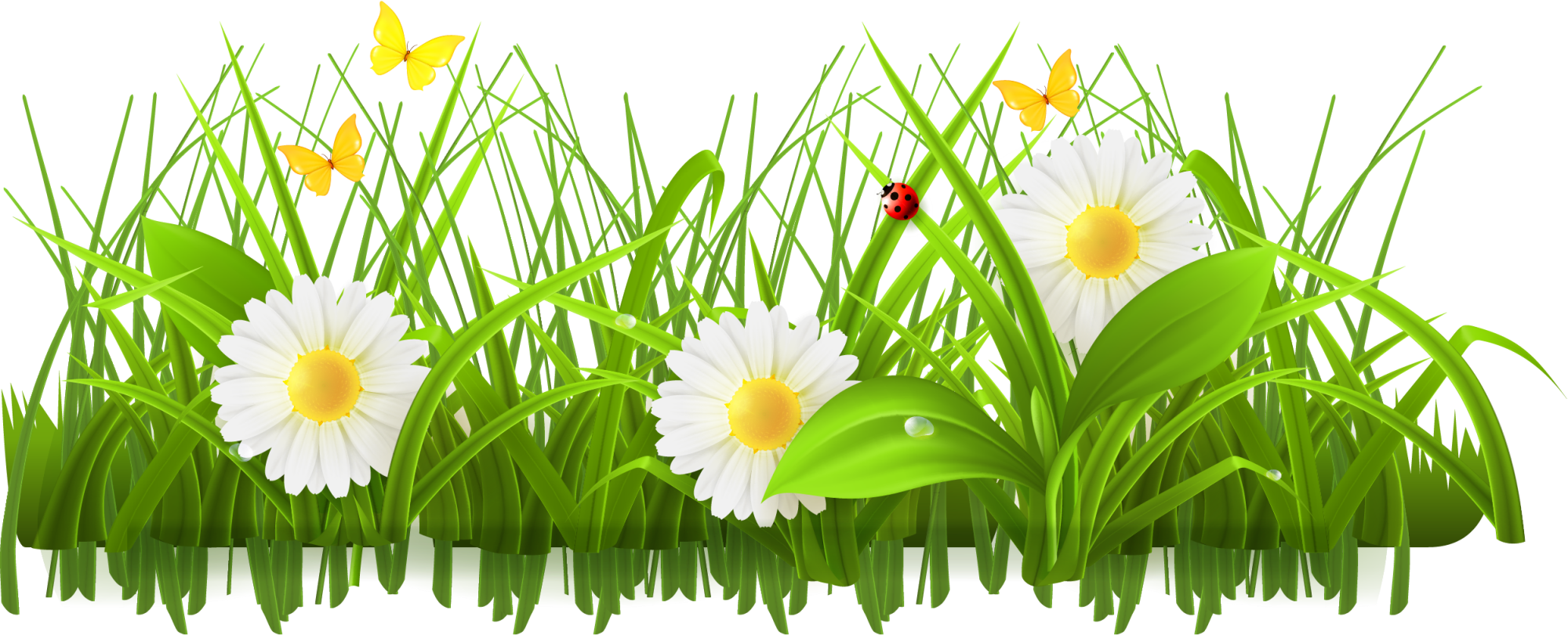 Flower Meadow Clipart - Green Flowers Clip Art (2000x810), Png Download