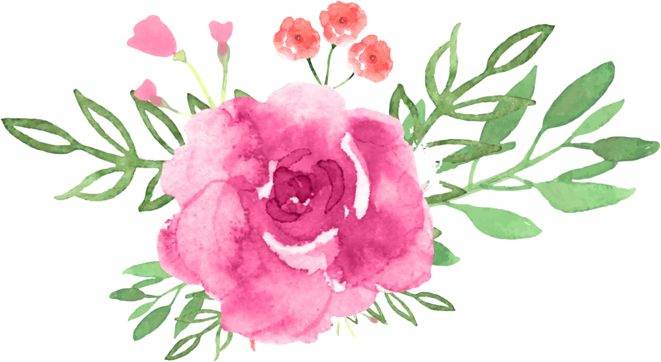 Wf Flower Sets V1 Wf Pink Flowerv - Flower (1000x563), Png Download