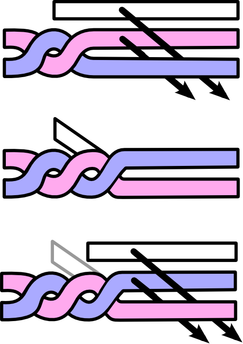 Twist Braid (500x705), Png Download