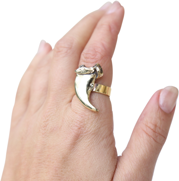 Bear Claw Totem Ring (1000x667), Png Download