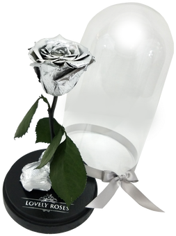 Metallic Silver Beauty & The Beast - Garden Roses (500x500), Png Download