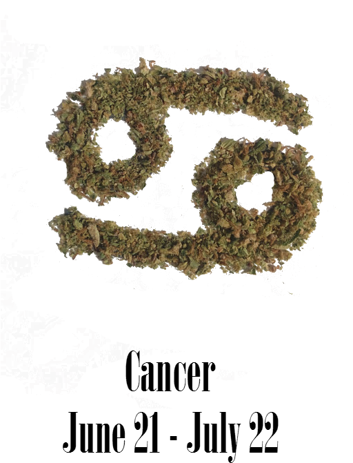 Stoner Cancer Monthly Horoscope - Moss (525x709), Png Download