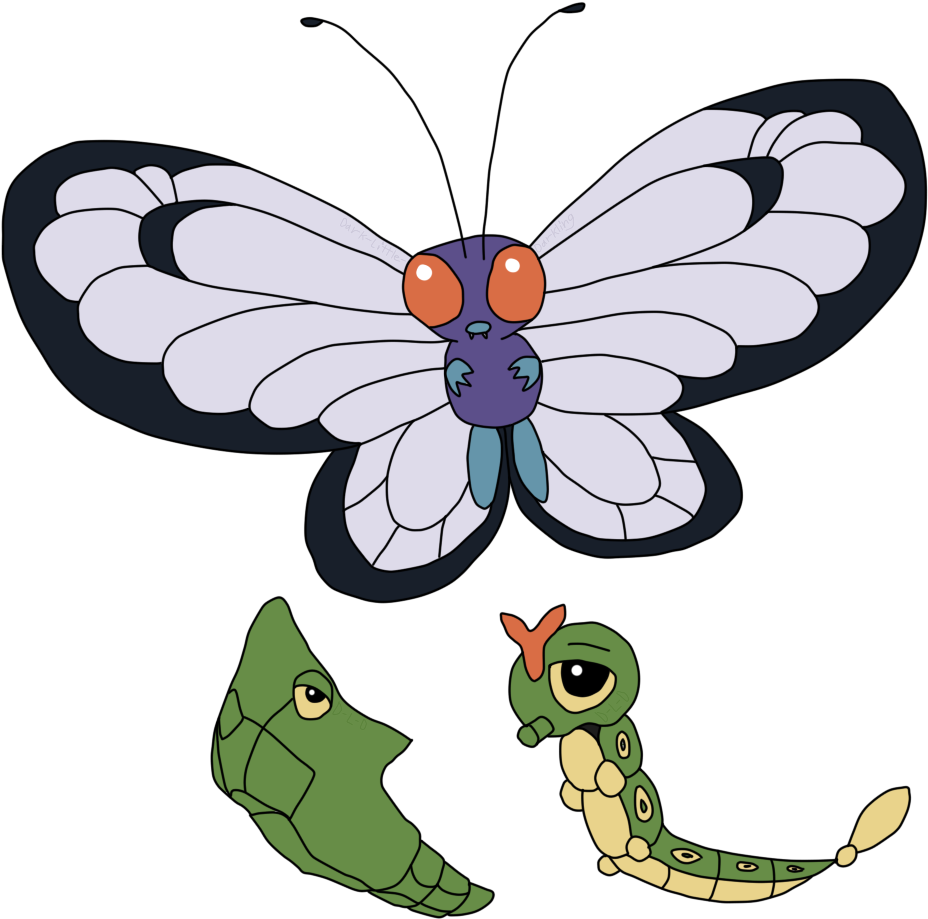 Caterpie Evolution - Caterpie (1002x972), Png Download
