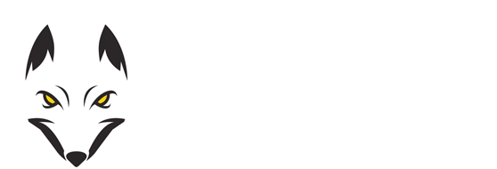 Game News Plus - Game News Plus Logo (650x238), Png Download
