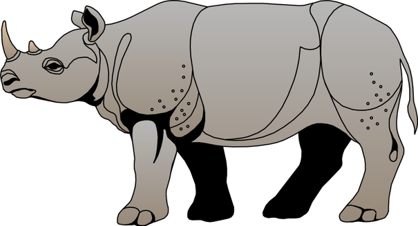 Rhinoceros Free Download - Side View Of A Rhino (605x328), Png Download