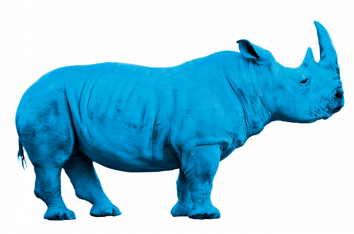 Rhino Bleu Png - Animals With White Background (1200x796), Png Download