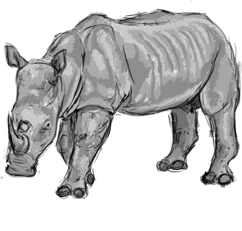 Rhino (478x458), Png Download