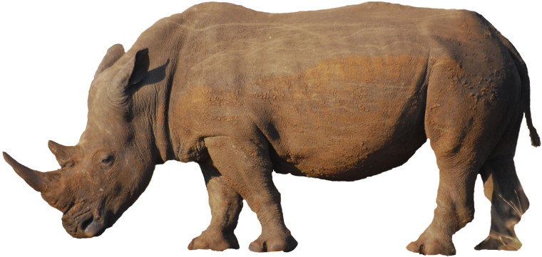 Rhino Freigestellt Martin Wegmann - Rhinoceros (800x461), Png Download
