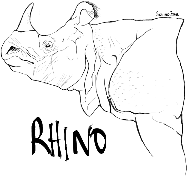 Rhino - Line Art (666x629), Png Download