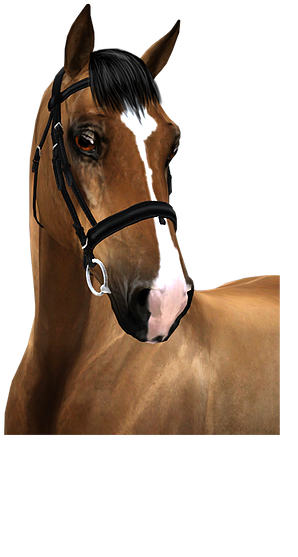 Illidan - Sorrel (305x571), Png Download