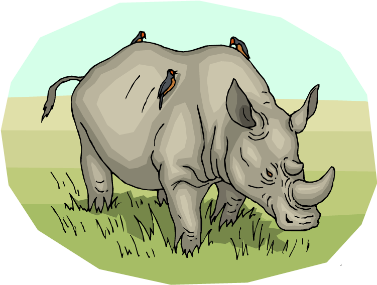 Free - Love Rhinos Throw Blanket (750x623), Png Download