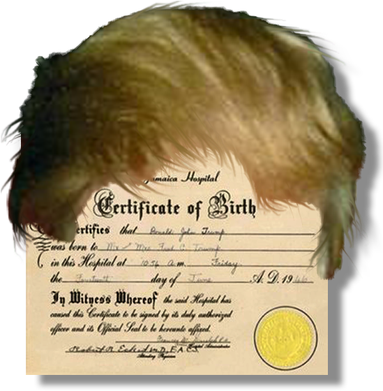 "raising The Bar," No - Donald Trump Birth Certificate (548x568), Png Download