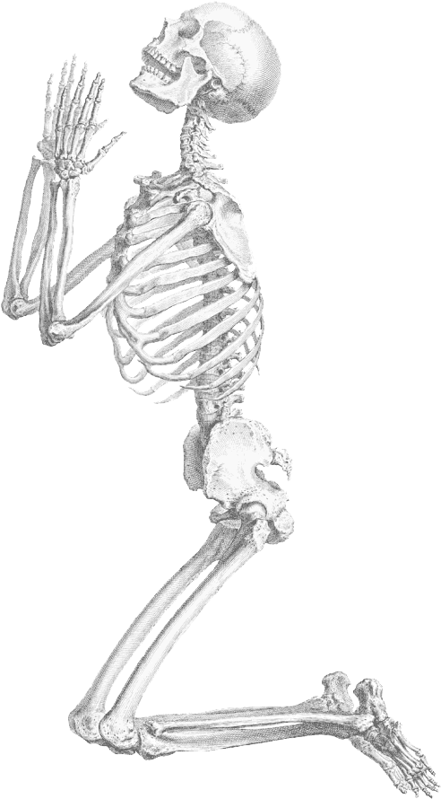 Halloween Skeleton Transparent Background - Praying Skeleton Png (521x900), Png Download