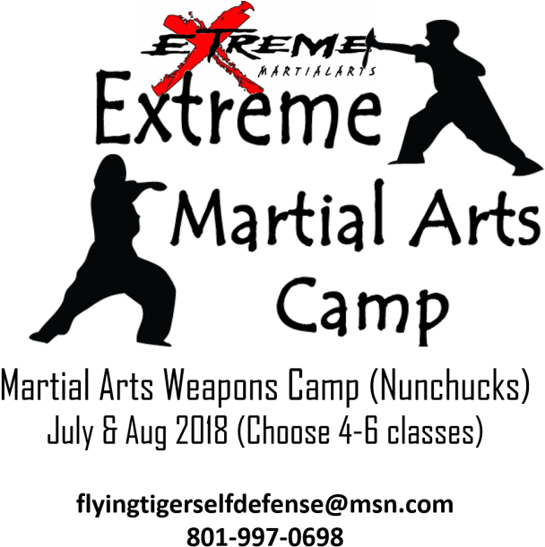 Extreme Mini Summer Camp - Ring Ding Dong (rearranged) (650x636), Png Download