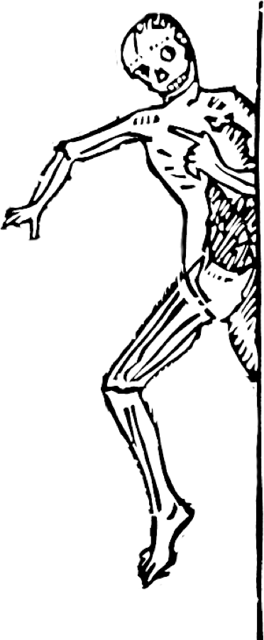 Skeleton Arm Drawing At Getdrawings - Sketch (372x902), Png Download