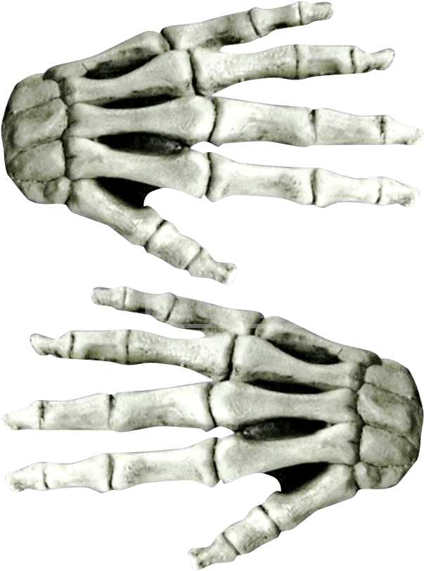Large White Skeleton Costume Hands - Horror White Latex Skeleton Hands (827x827), Png Download
