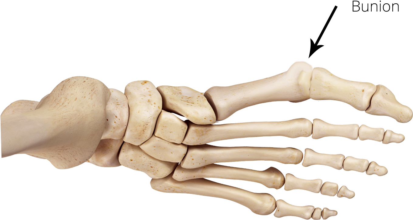 Jason Pringle2017 06 22t21 - Mannequin (1931x1130), Png Download