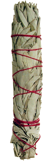 White Sage (289x640), Png Download