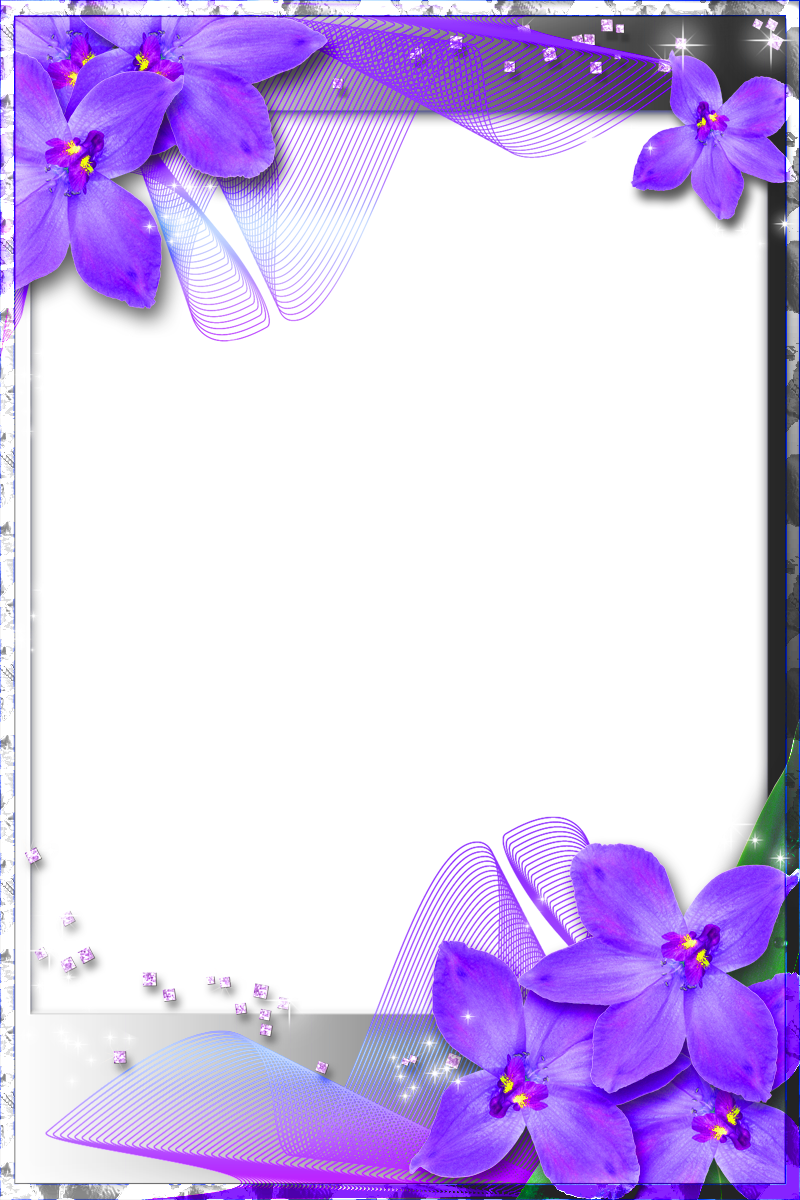 Резултат С Изображение За Beautiful Borders And Frames - Purple Wedding Frames (800x1200), Png Download
