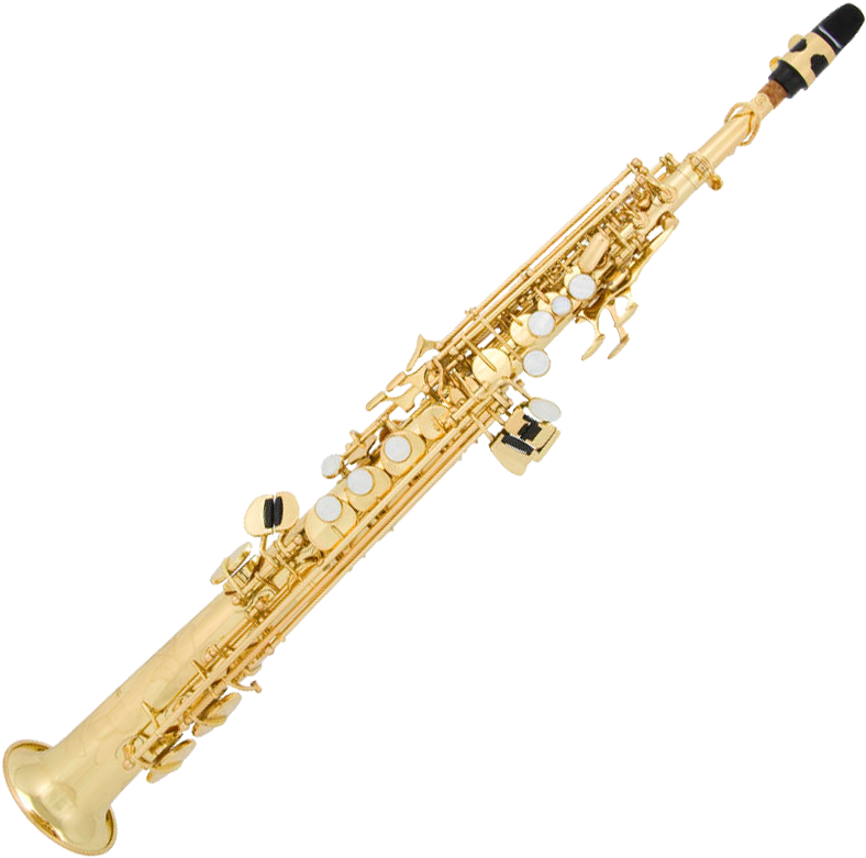 Antigua Sopranosax 4290 High G 2-necks - Antigua Intermediate Soprano Saxophone - Straight Neck (828x828), Png Download