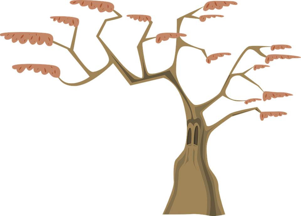 Dank Sunglasses Png - Arbol Con Ramas Animado (960x687), Png Download