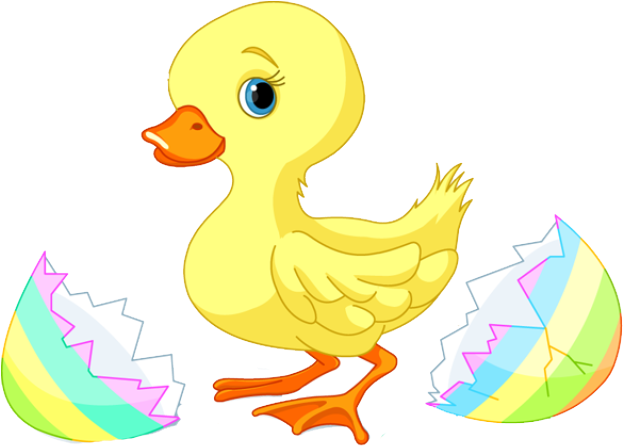 Clip Arts Related To - Clip Art Baby Duck (639x486), Png Download