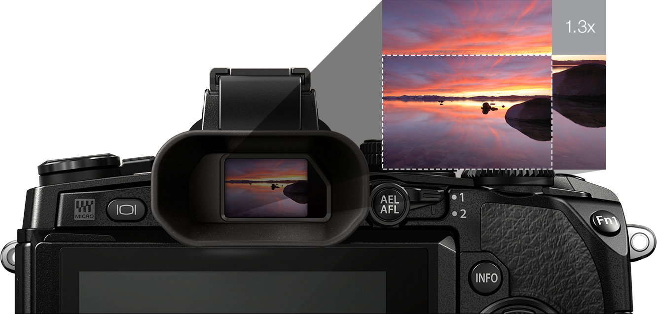 Bigger Where It Counts - Olympus Om-d E-m1 With 12-50mm Lens (1332x637), Png Download