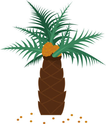 Real Palm Tree Png Which Everyday Products Contain - Palm Oil (341x445), Png Download