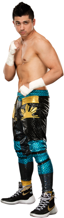 Tj Perkins Stat - Wwe Tj Perkins Png (320x728), Png Download