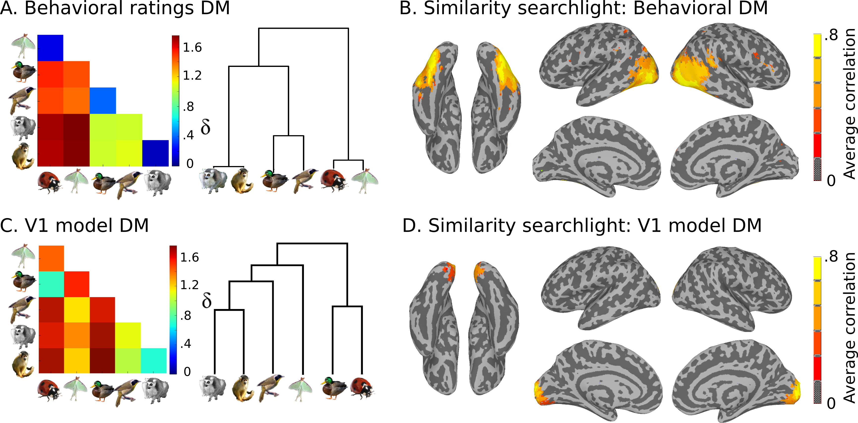 Images/sim Sl - Searchlight Brain (3464x1707), Png Download
