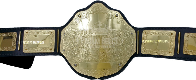 Just A Gold - Police (800x347), Png Download