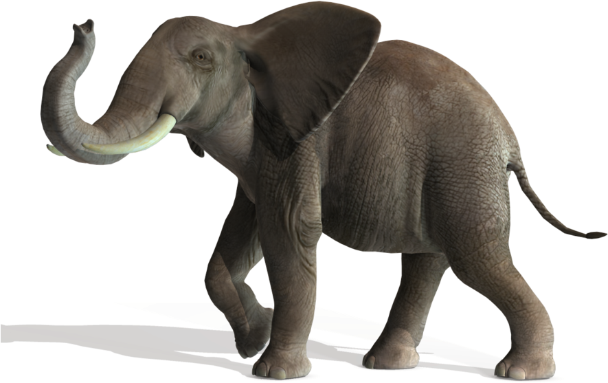 3d Elephant, New Cashadvance6online - Elephant Png File (900x655), Png Download