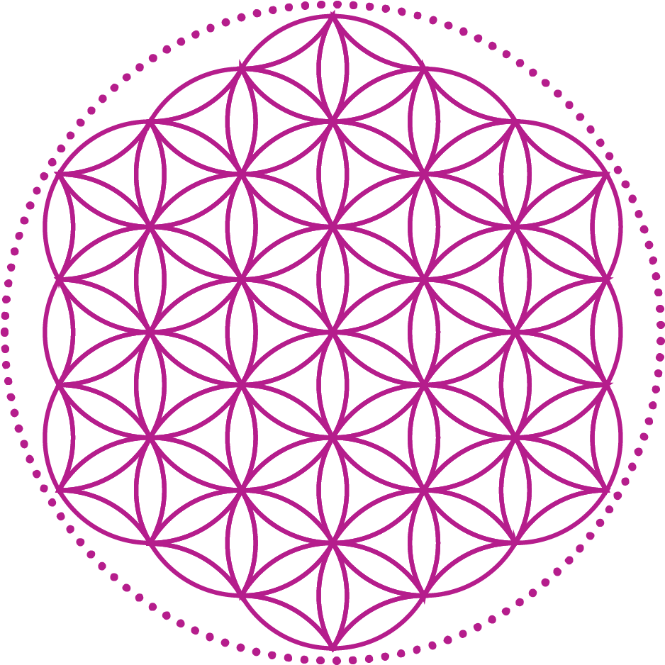 Merkaba The Lightbody You Need To Activate For Interstellar - Flower Of Life (938x938), Png Download