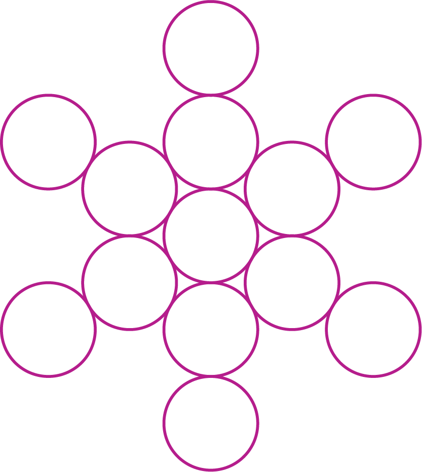 Fruit Of Life - Aaac Conductor (838x938), Png Download