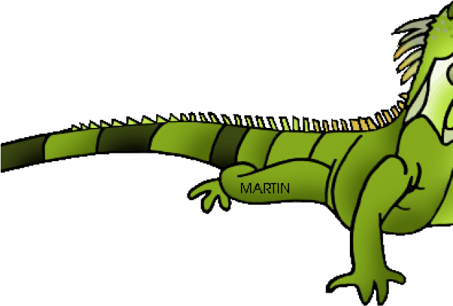 Green Iguana Geico Free On Dumielauxepices Net - Iguana Clipart (640x480), Png Download