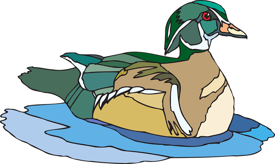 Duck Clipart Duck Beak - Duck Is Swimming Clipart (960x573), Png Download