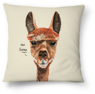 Almofada Me Llama De Folk Studiona - Cushion (450x450), Png Download