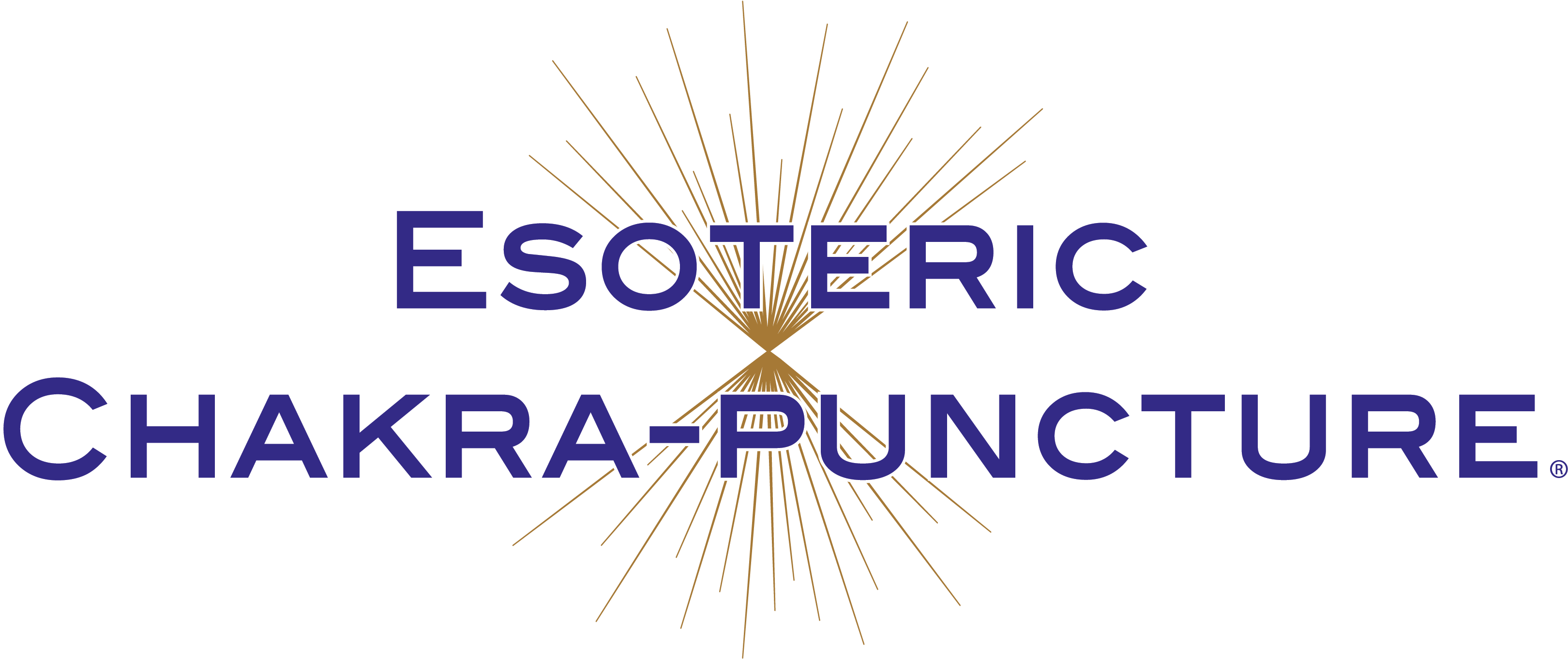 Esoteric Chakra-puncture - Police (5000x1361), Png Download