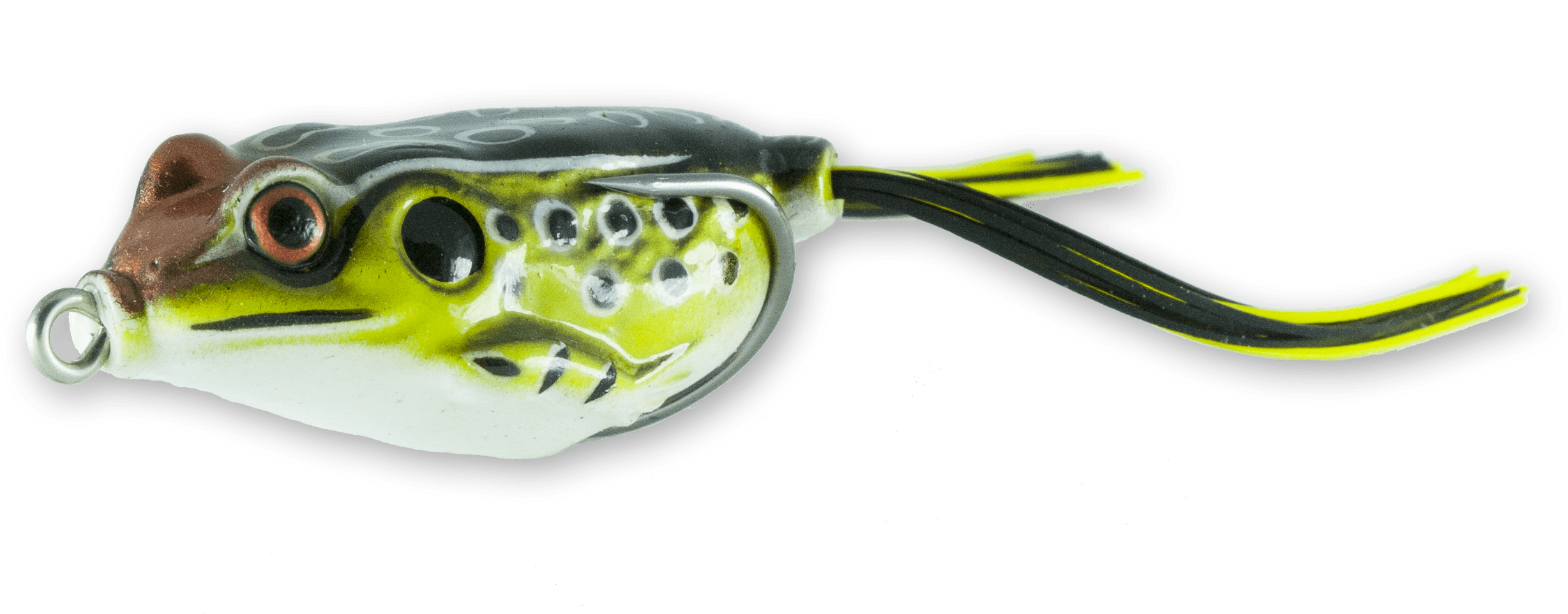 Mud Brown - Green Pufferfish (2569x962), Png Download