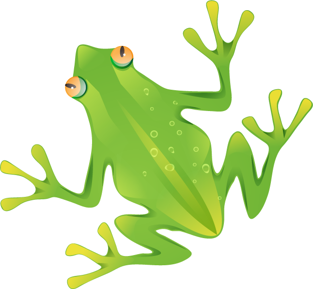 Wildwood Wildlife Park Supports Classroom Studies And - Frog (646x596), Png Download