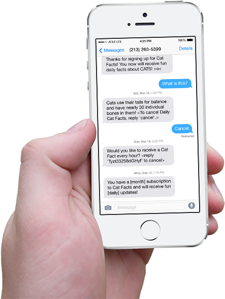 Hand Holding Iphone With Scrolling Cat Facts Text Messages - X009 Mini Camera Anysun Gsm Monitor Video Recorder (520x600), Png Download