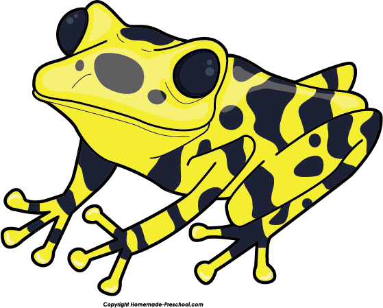 Click To Save Image - Poison Dart Frog Clip Art (559x449), Png Download