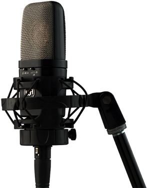 Wa-14 Large Diaphragm Brass Capsule Condenser Microphone - Warm Audio Wa-14 Condenser Microphone (400x400), Png Download