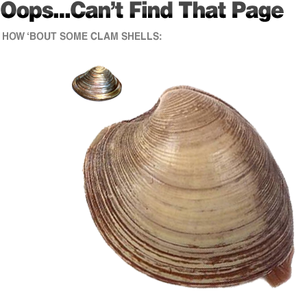 Clam (500x500), Png Download
