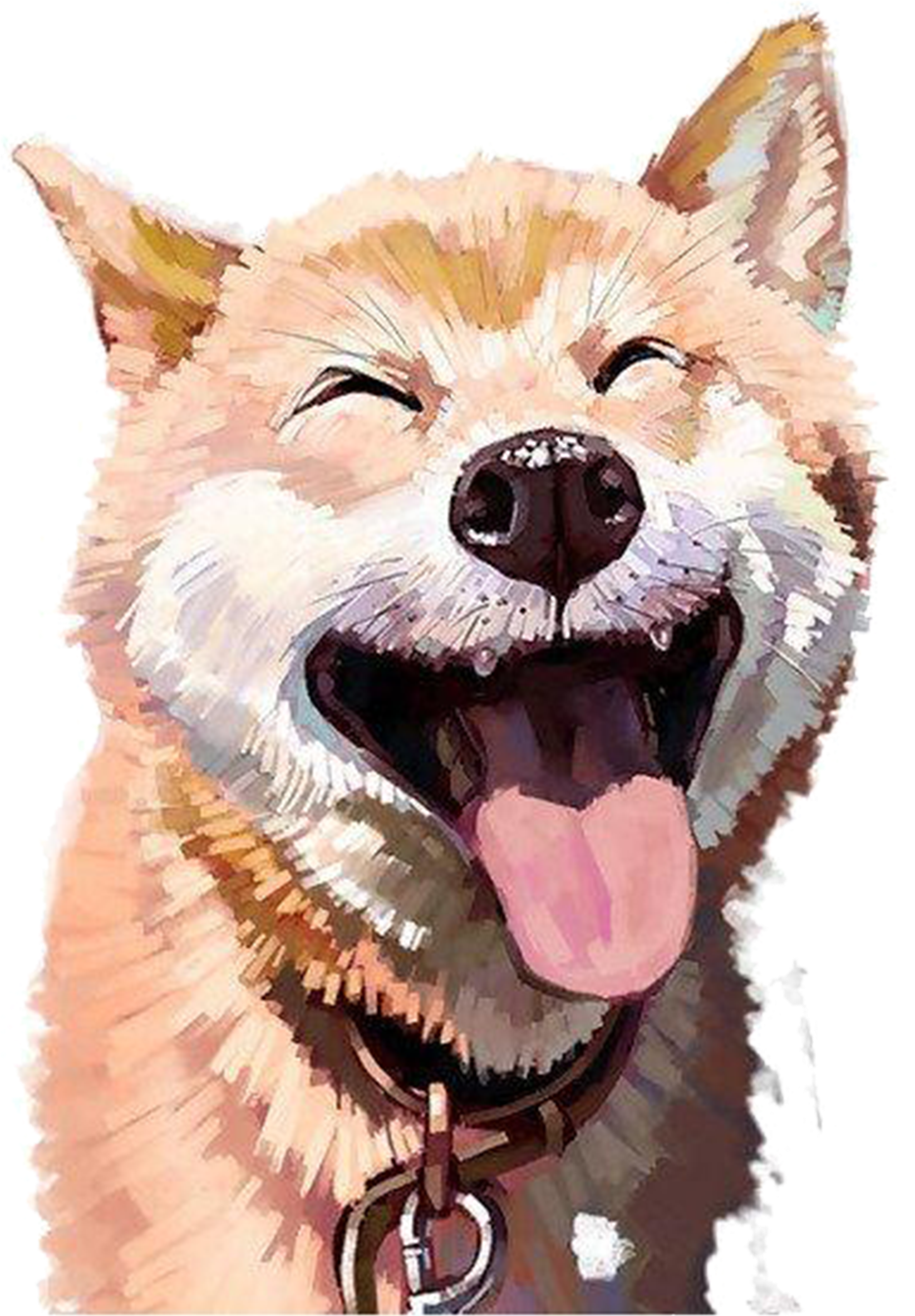 Doge Transparent Png Graphic Freeuse Stock - Dog (3508x2480), Png Download