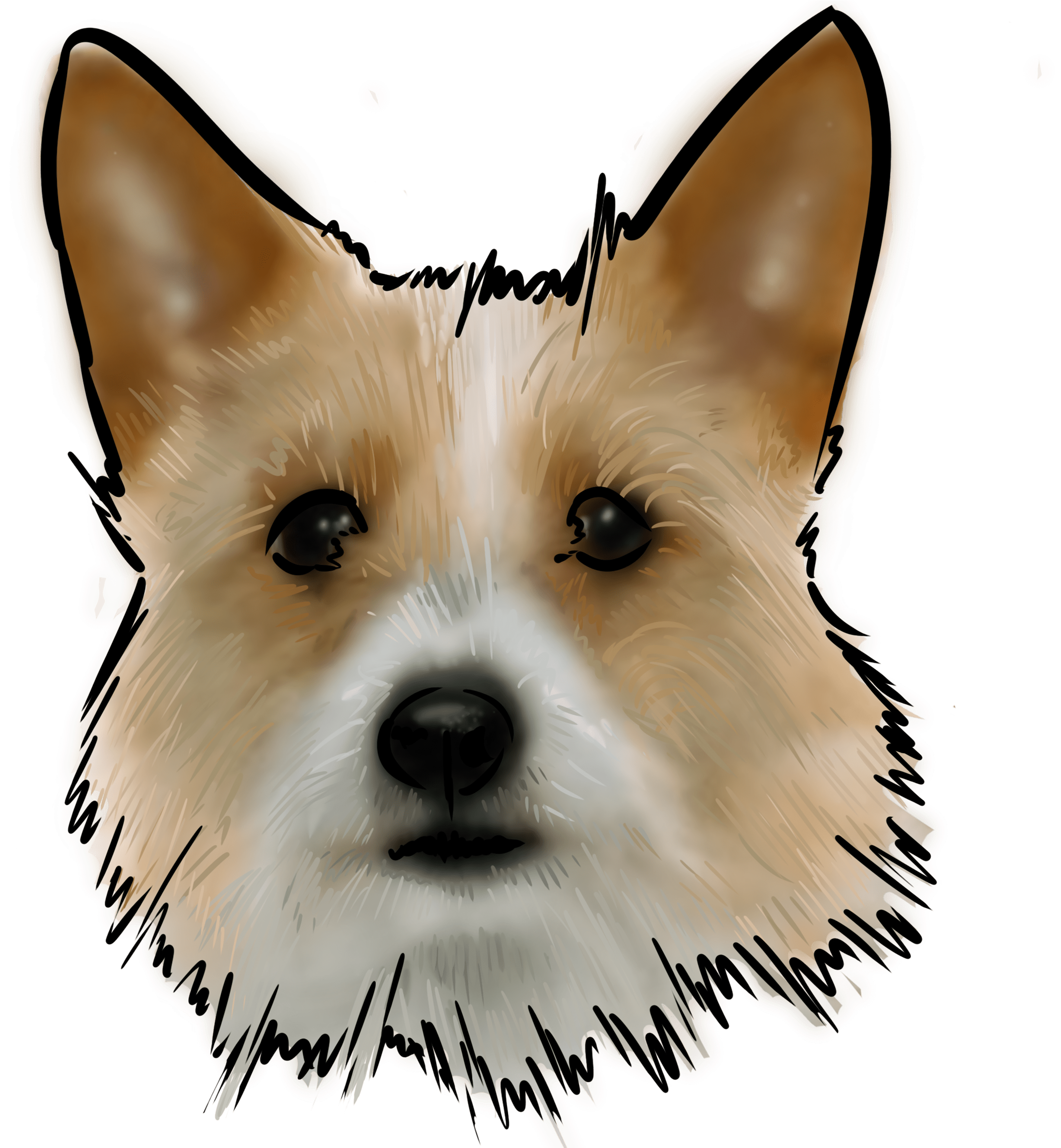 The Portuguese Podengo, Definitely Not To Be Referred (3000x3000), Png Download